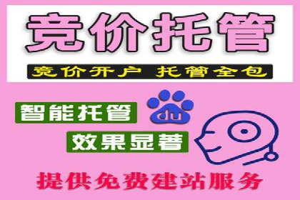 百度推广平台广告创意设计的成功案例