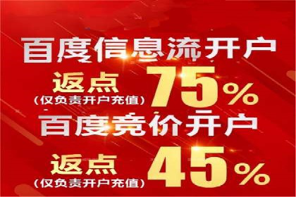 某电商平台的SEM优化托管实践与效果评估